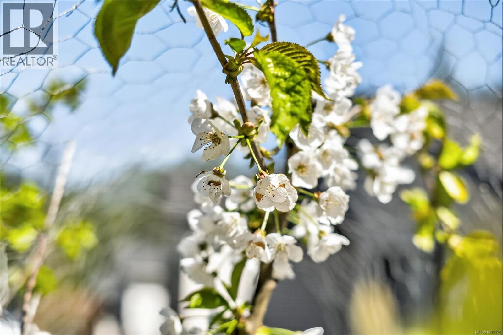 #103 1391 Price Rd - 24