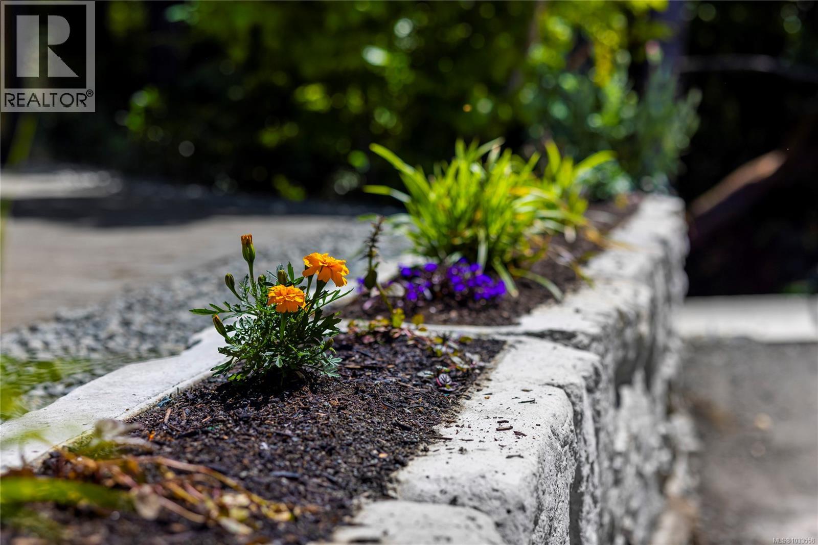 1158 Kathleen Dr - 45