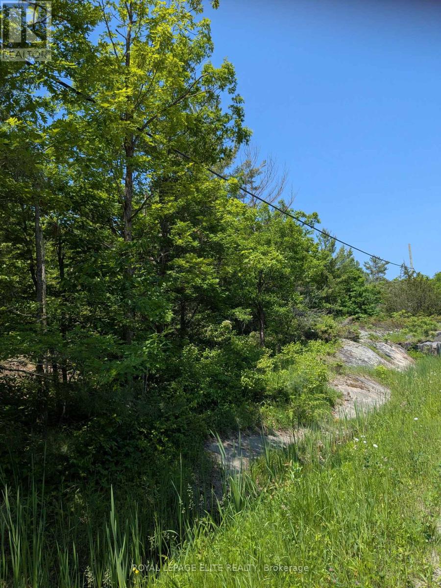 559 HONEY HARBOUR ROAD - 4