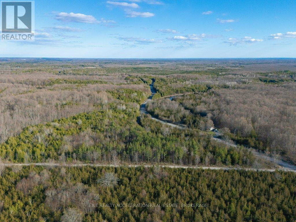 0 LIME LAKE ROAD — photo 8