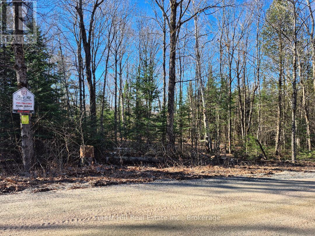 Year round Road with Hydro