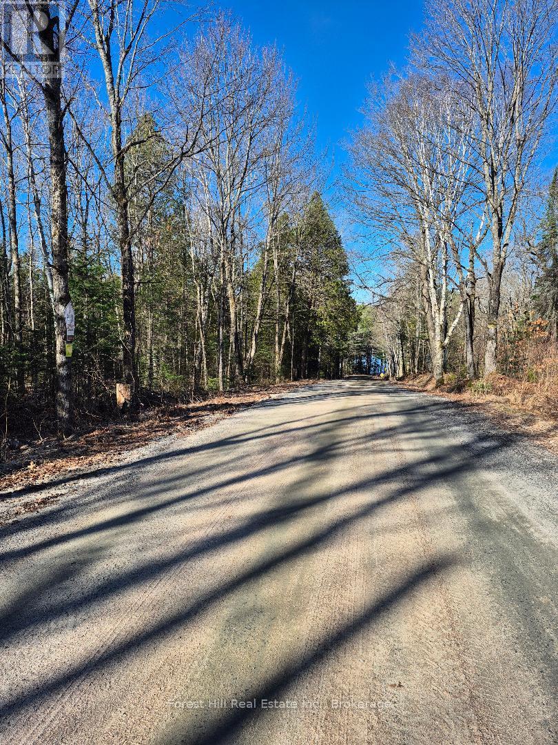 Fern glen road with hydro