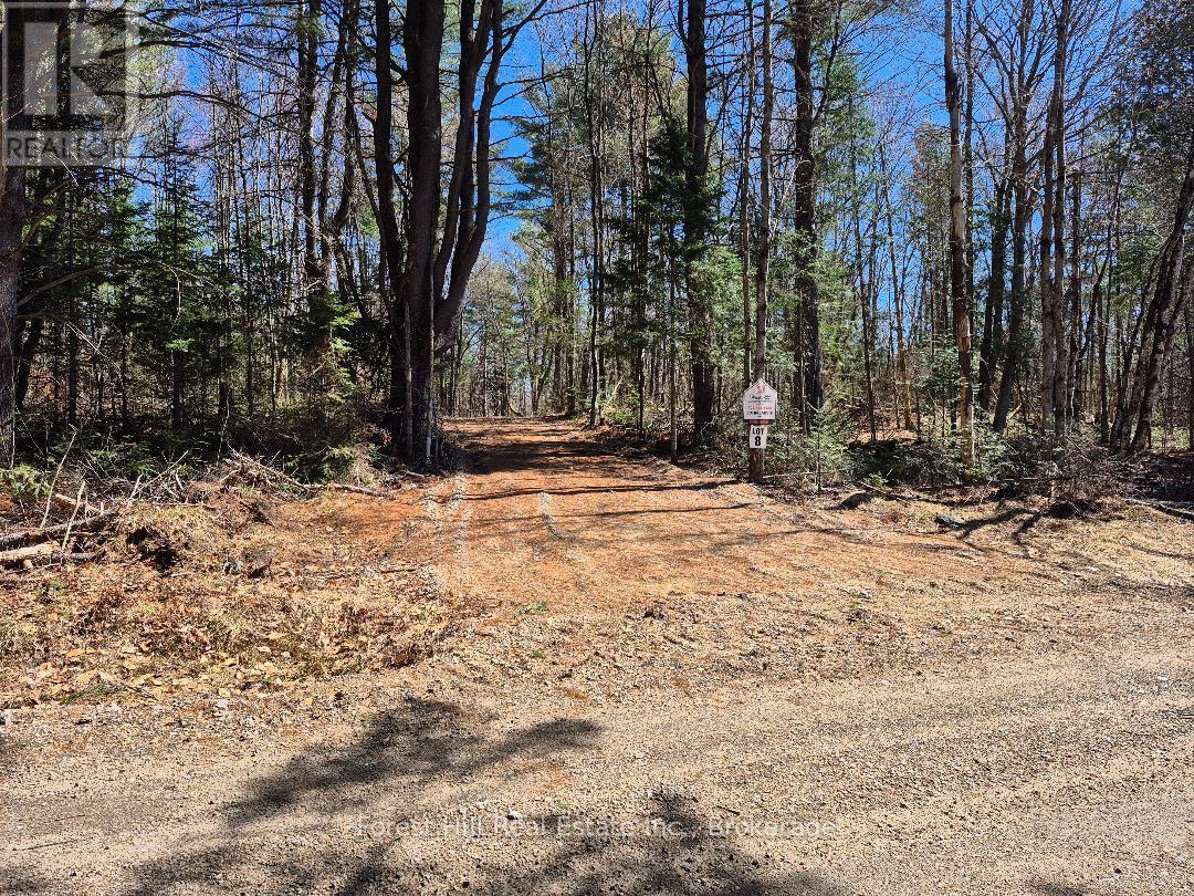 Driveway in from the road