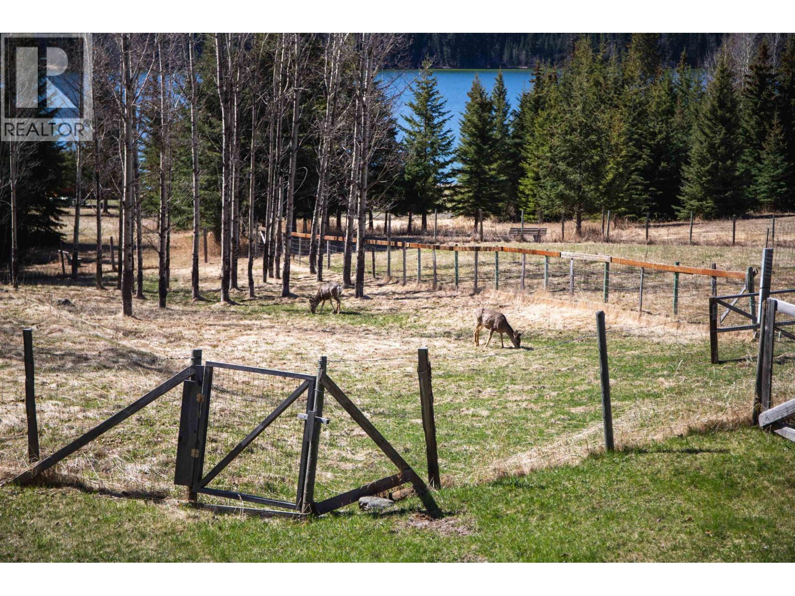 7115 CONNIE ROAD - 11