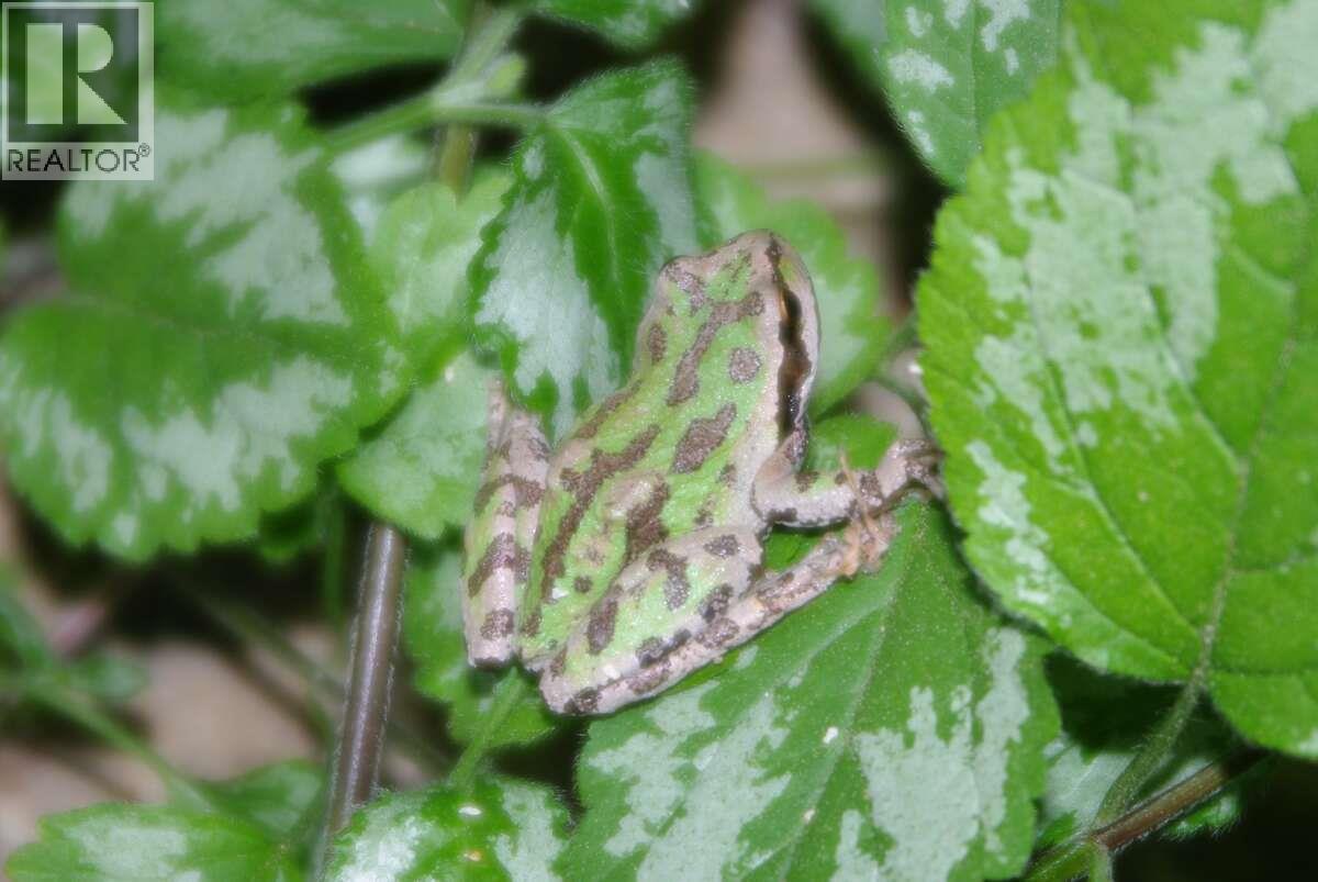  4370 Copper Cove Road, Scotch Creek