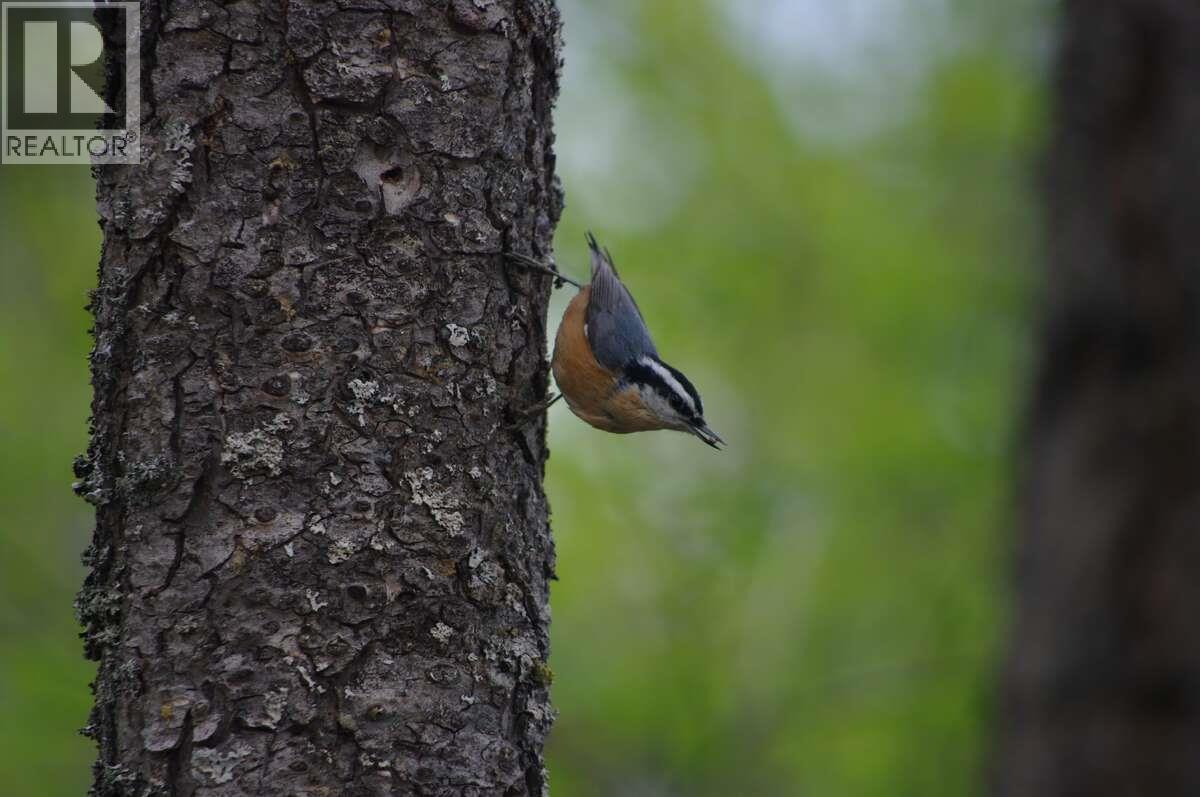  4370 Copper Cove Road, Scotch Creek