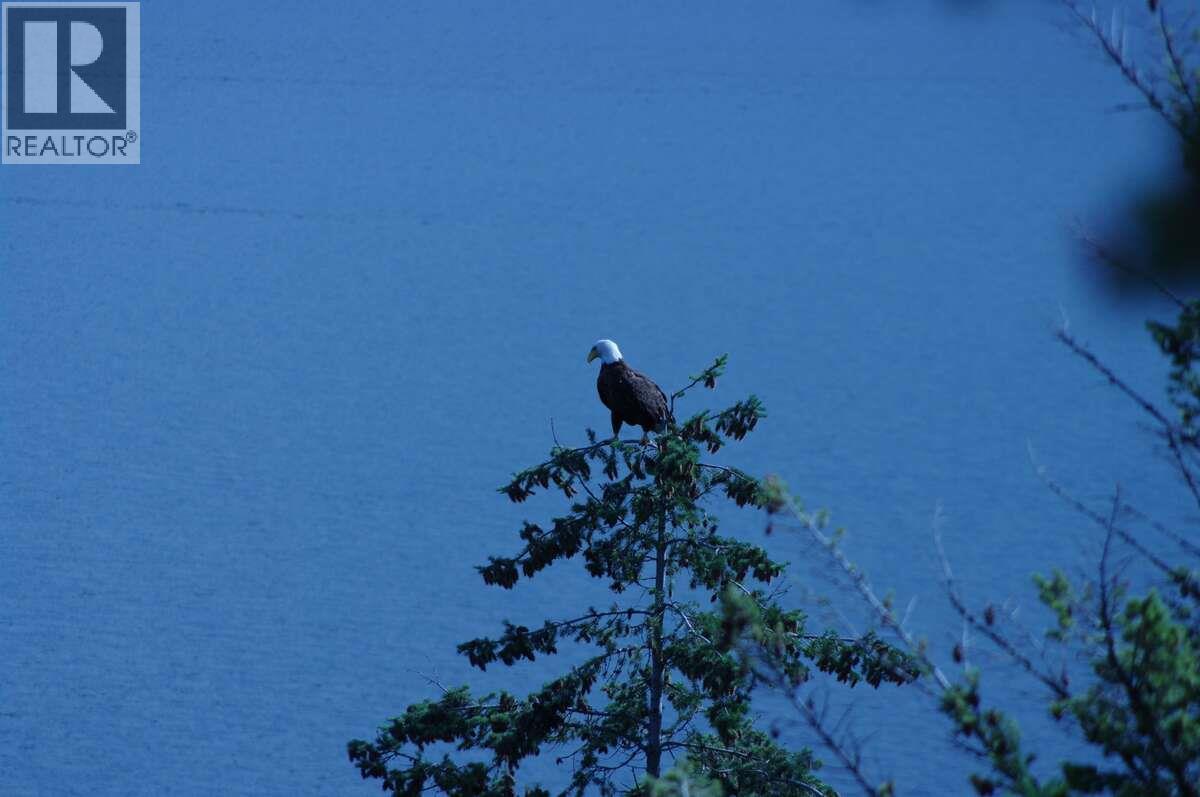  4370 Copper Cove Road, Scotch Creek