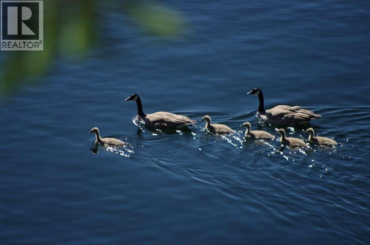  4370 Copper Cove Road, Scotch Creek