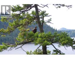 4370 Copper Cove Road, Scotch Creek, BC V0E1M5 Photo 11