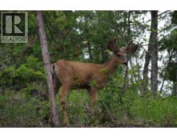 4370 Copper Cove Road, Scotch Creek, BC V0E1M5 Photo 12