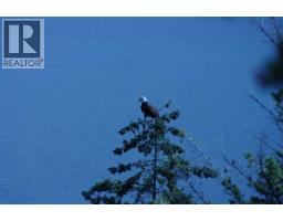 4370 Copper Cove Road, Scotch Creek, BC V0E1M5 Photo 27