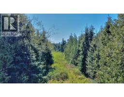 580 Glover Rd, Hyde Creek, BC V0N2R0 Photo 11