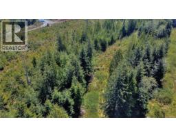 580 Glover Rd, Hyde Creek, BC V0N2R0 Photo 9