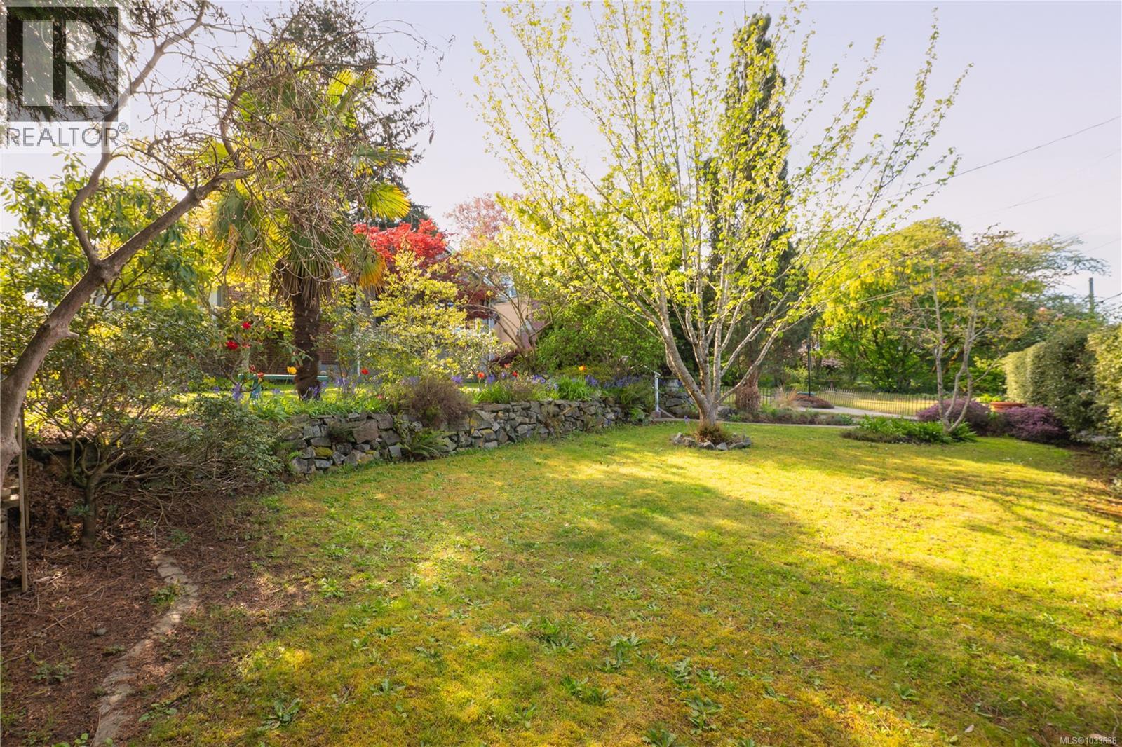 225 Stewart Ave - 52