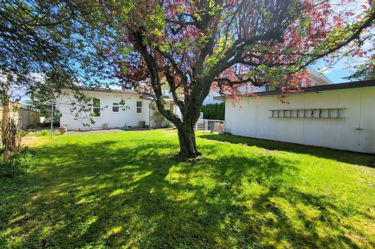 1137 PARKER STREET — photo 20