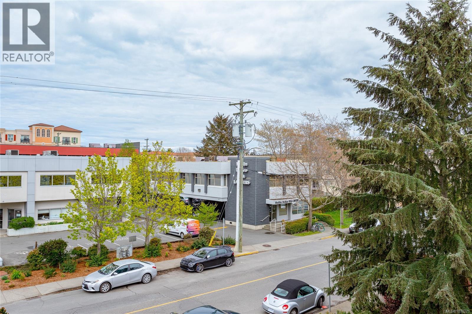 #315 3931 Shelbourne St - 25