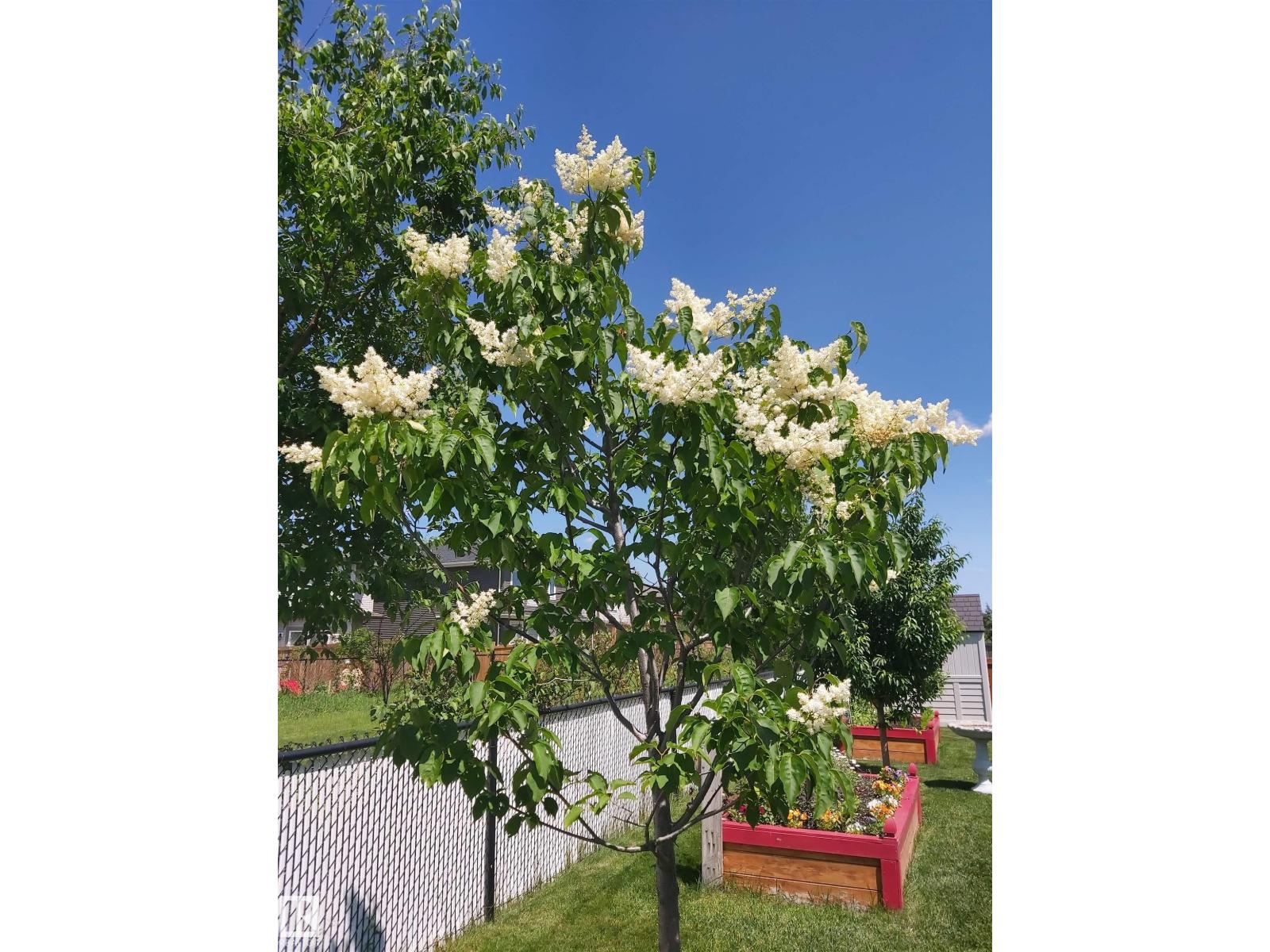 16520 136 ST NW, Edmonton