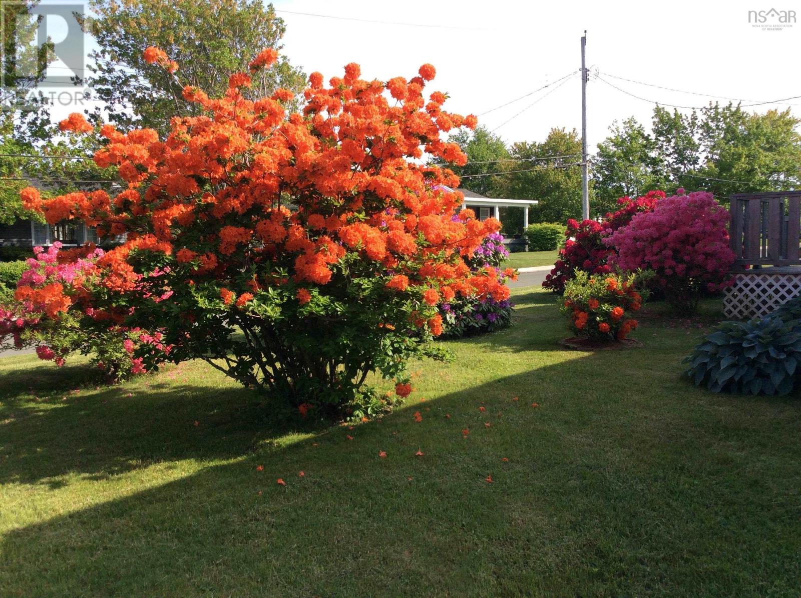 Property 33 of 44 of 14 Edina Street