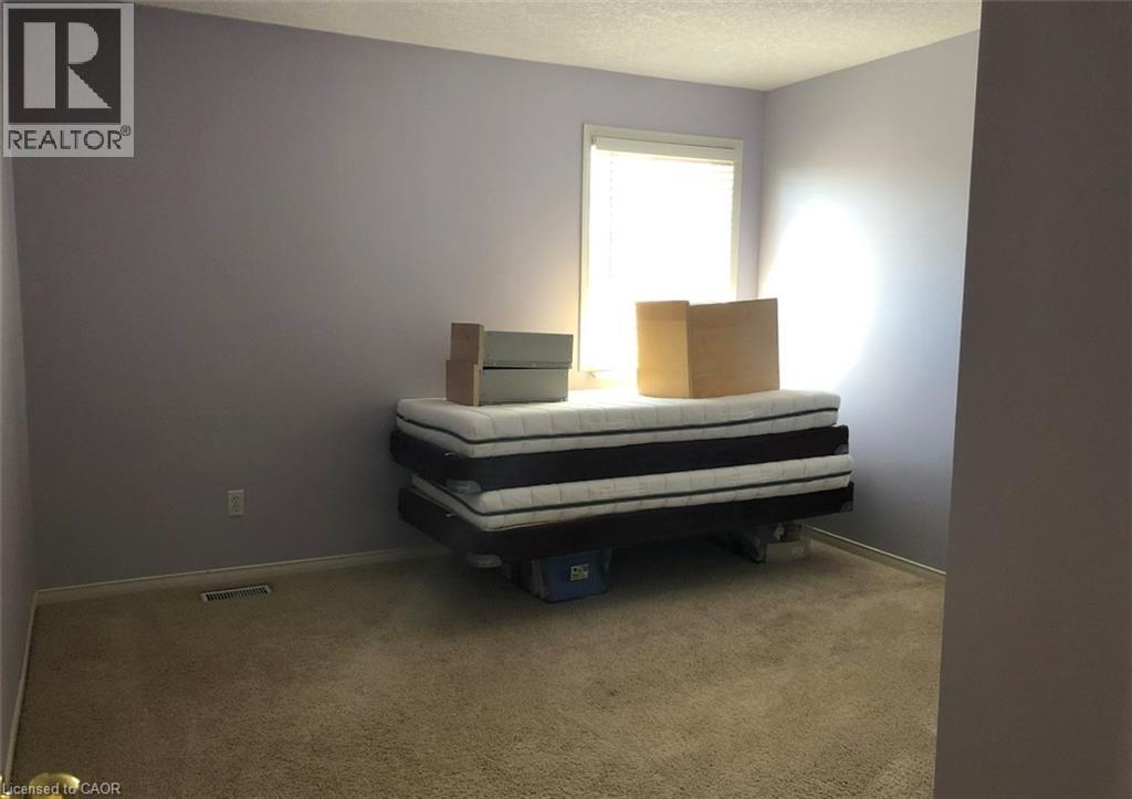 Carpeted room with lavender walls featuring a single window with blinds and white trim