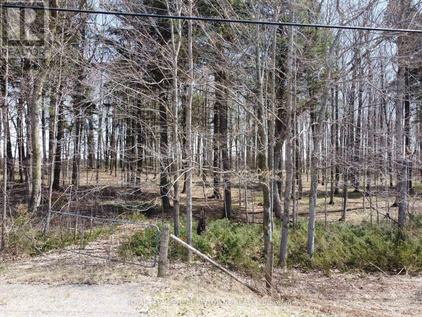 8949 WELLINGTON RD 22 ROAD — photo 22