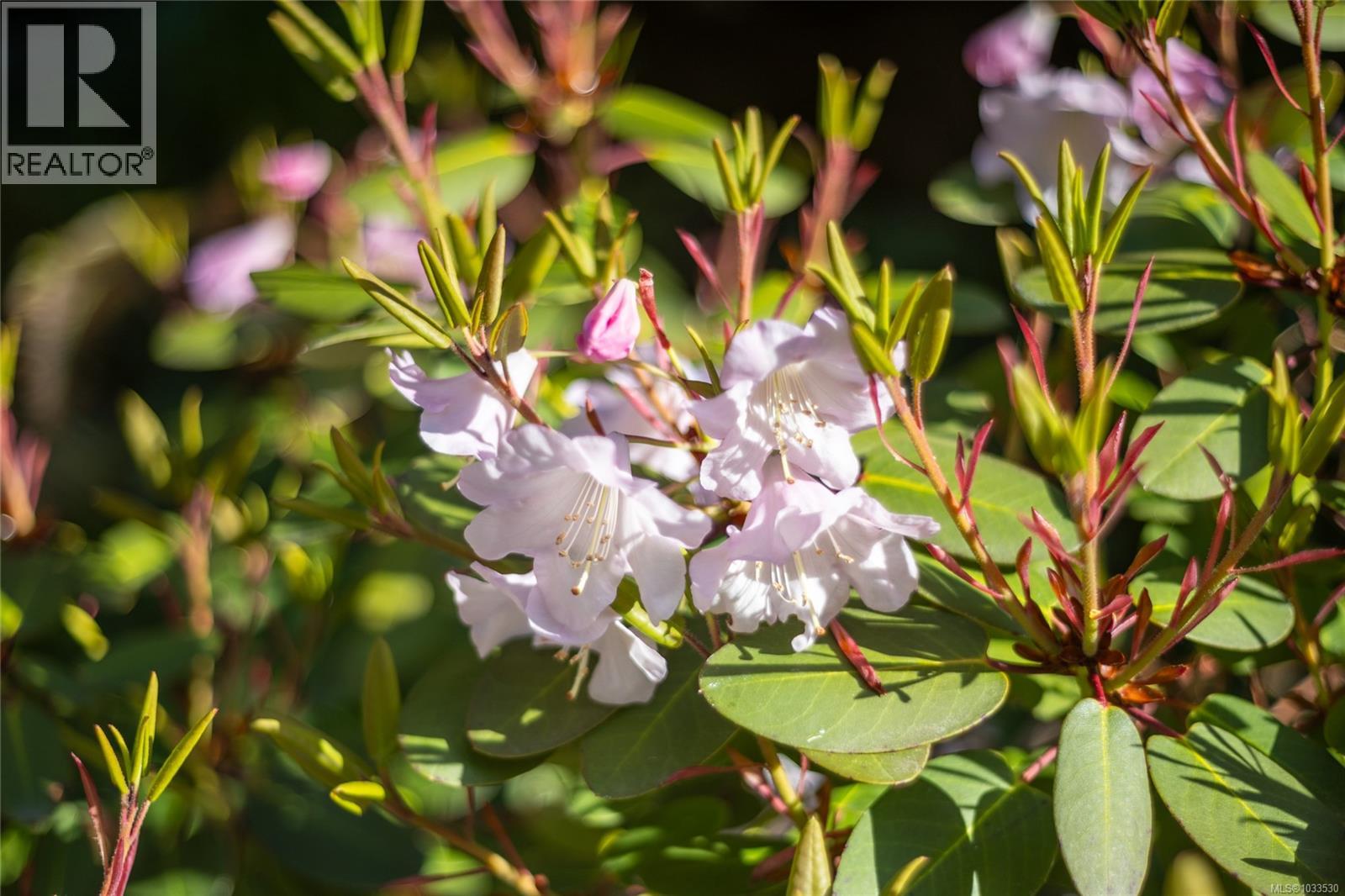 1487 Thomson Terr - 23