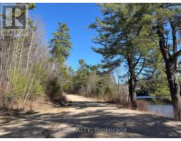 000 Opeongo Road, Madawaska Valley, ON K0J2N0 Photo 10