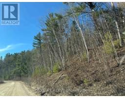 000 Opeongo Road, Madawaska Valley, ON K0J2N0 Photo 11