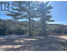 000 Opeongo Road, Madawaska Valley, ON K0J2N0 Photo 9