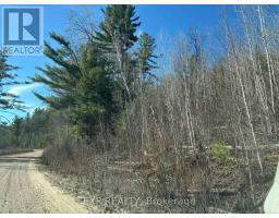 000 Opeongo Road, Madawaska Valley, ON K0J2N0 Photo 6