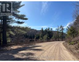 000 Opeongo Road, Madawaska Valley, ON K0J2N0 Photo 7