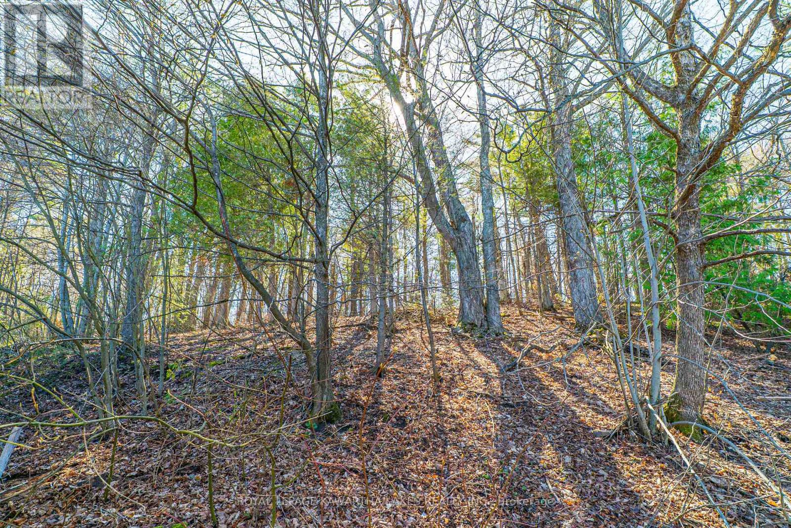 805 CEDAR GLEN ROAD - 27