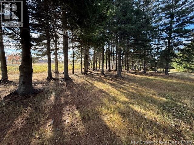 61 Laviolette Road - 27