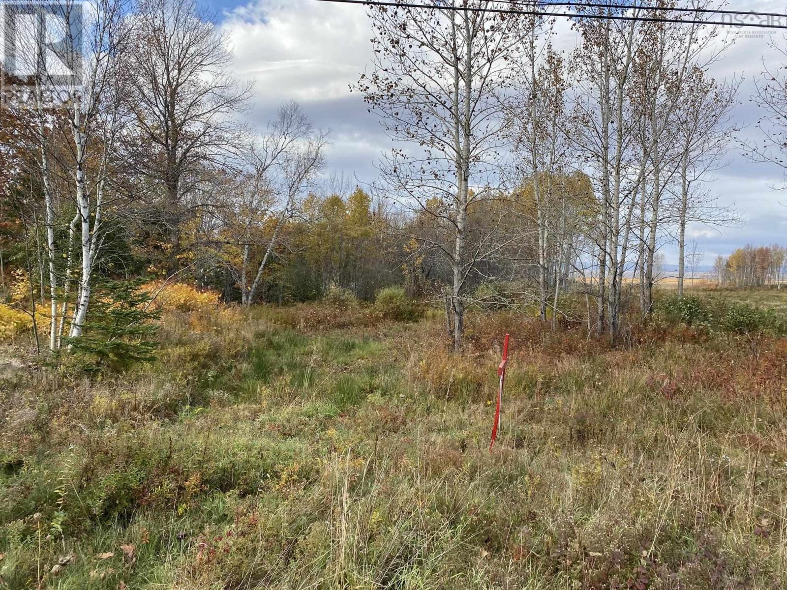 Property 4 of 13 of Lot 1 Highway 215