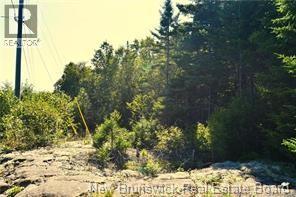 Lot 86-125 Fundy Drive, Wilsons Beach — photo 3