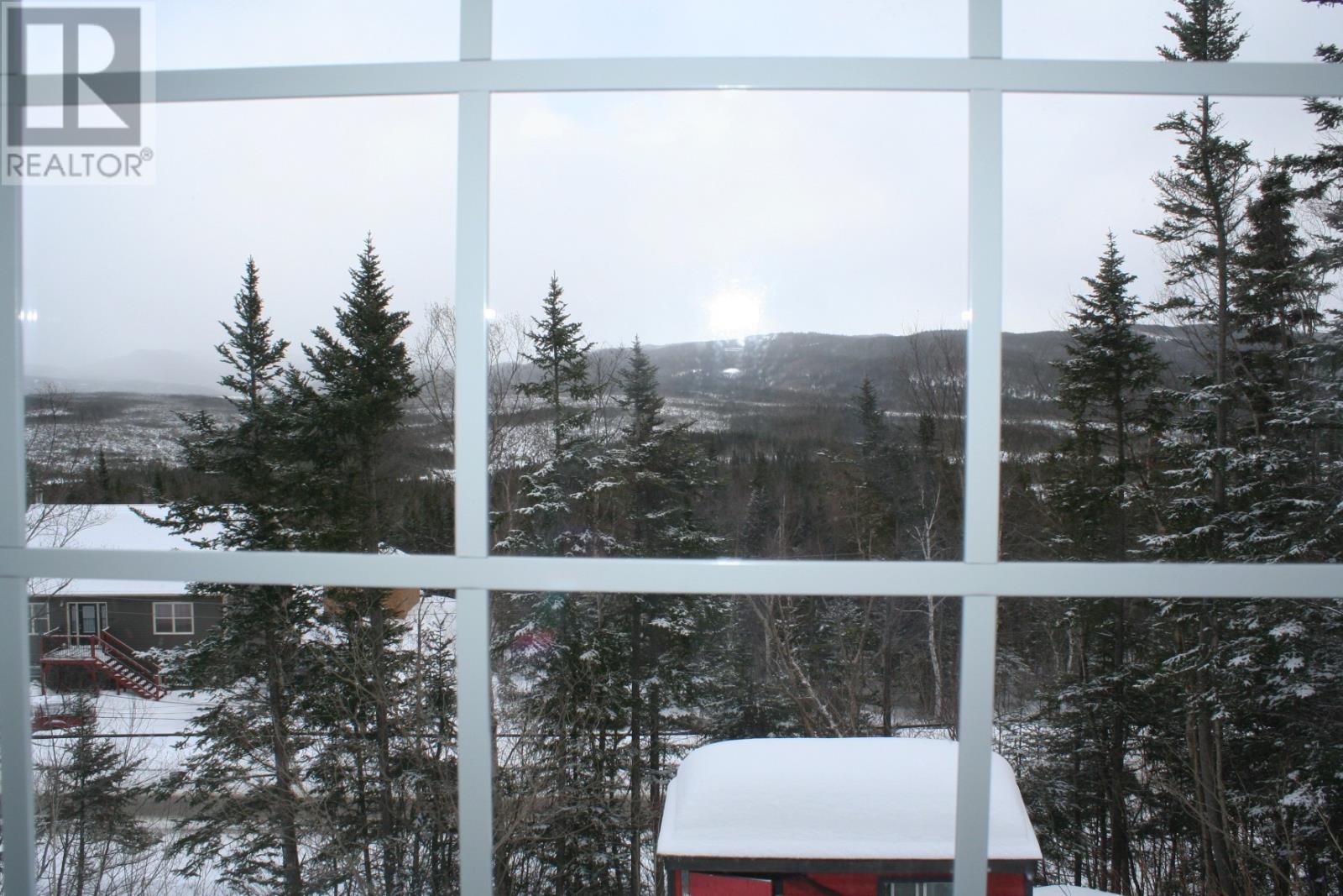 View from LR window