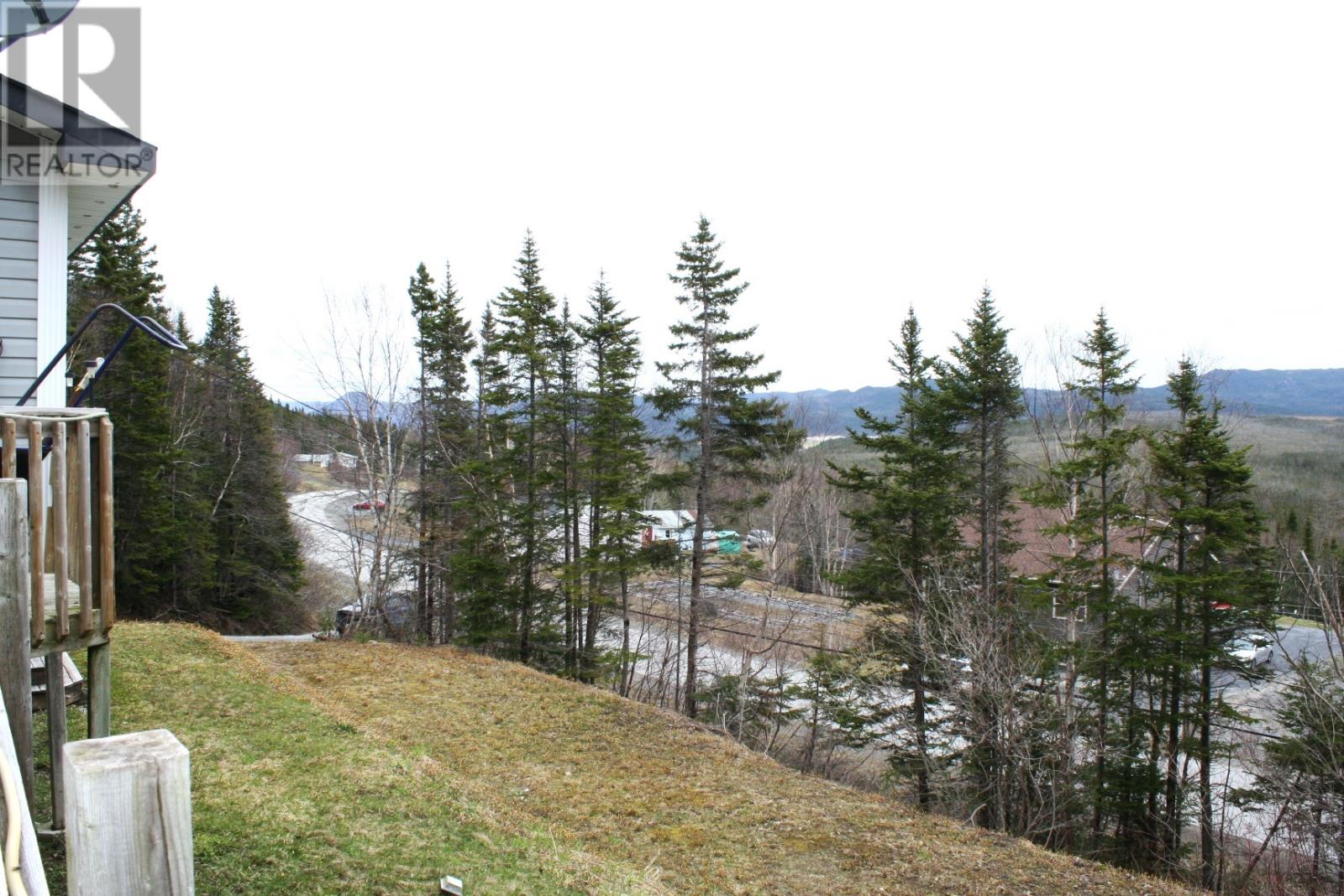 Main road to Cox's Cove