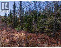 6105 Route 111, Poodiac, NB E4E3S9 Photo 12
