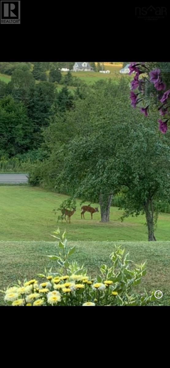 Property 32 of 32 of 17 Birds Eye View Lane  B2G 2L1