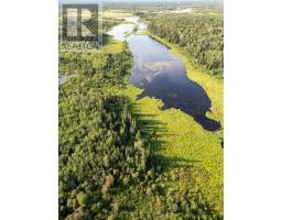 Lot 4 Pcl 2225, Mattice Val Cote, ON P0L1T0 Photo 6