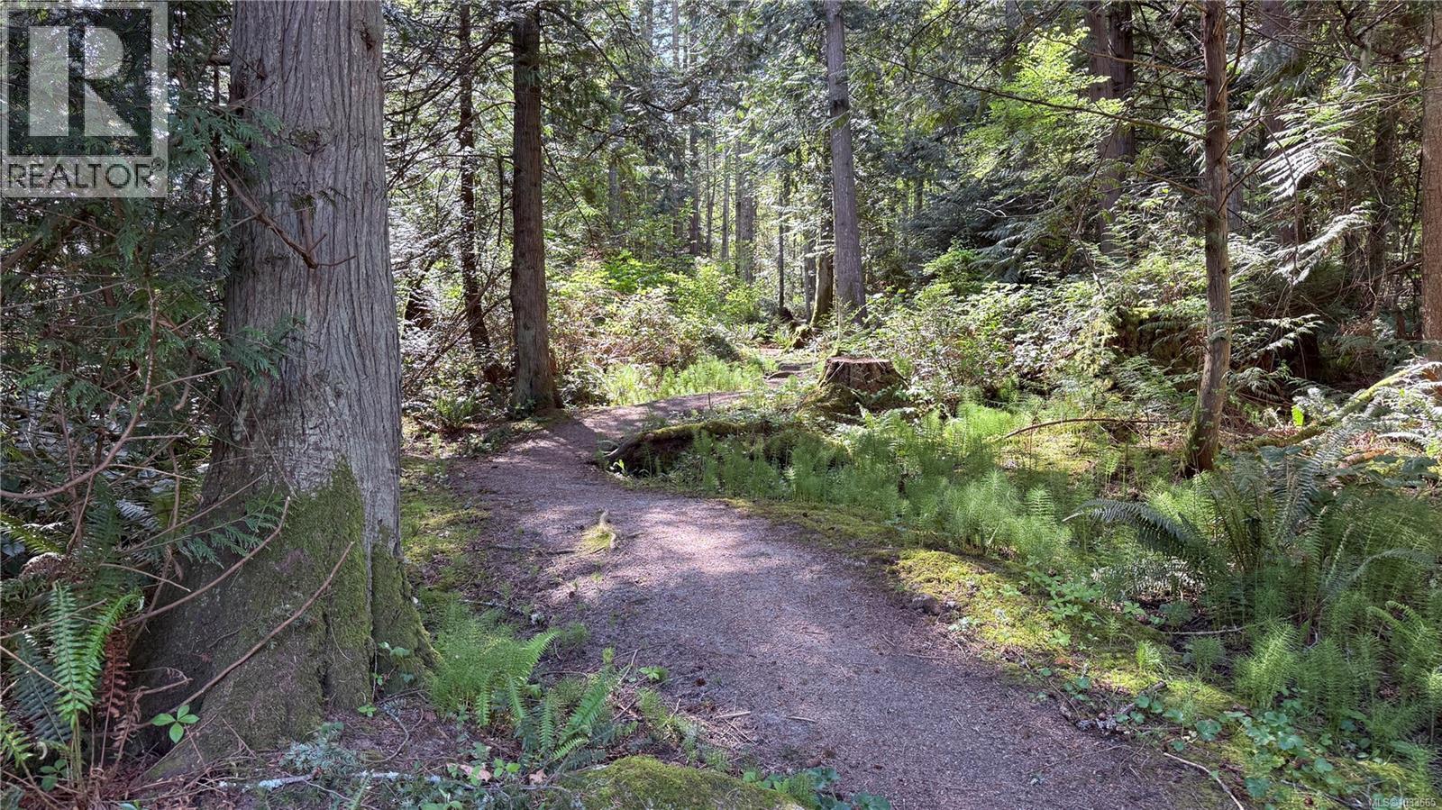 trail system across the street