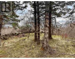 Lot Eagle Head Wharf Road, Eagle Head, NS B0J1H0 Photo 13