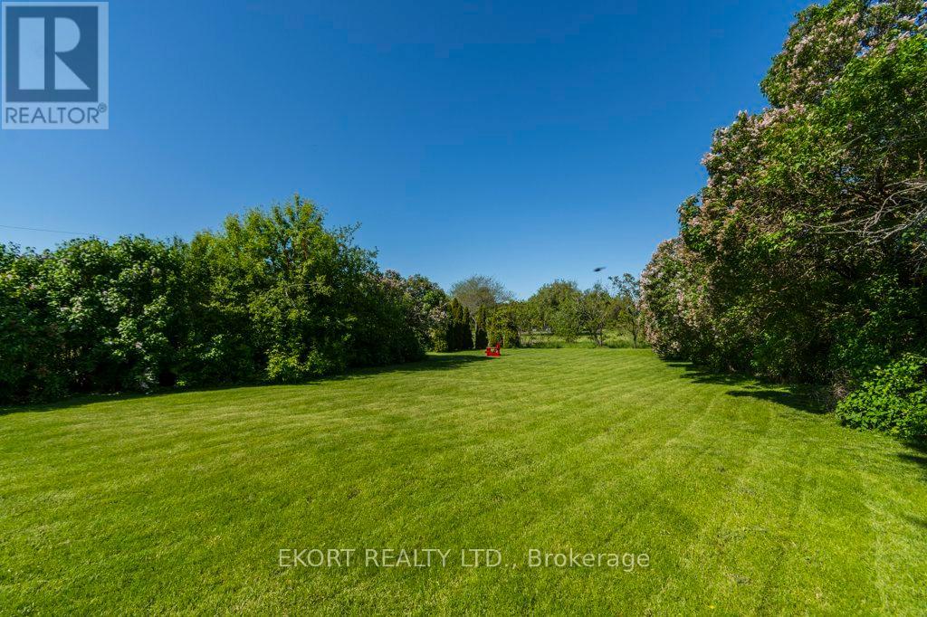 86B HERCHIMER AVENUE — photo 10