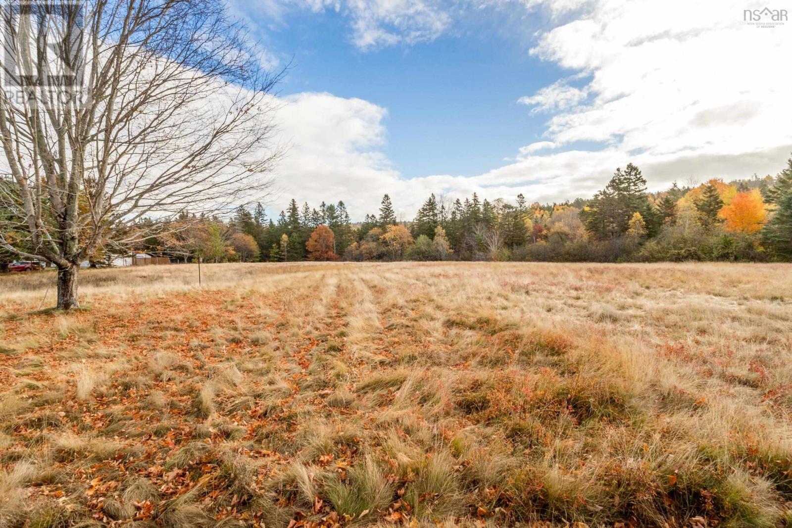 1546 Spurr Road - 4