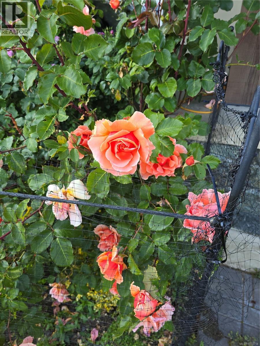 #502 2234 Stone Creek Pl - 56