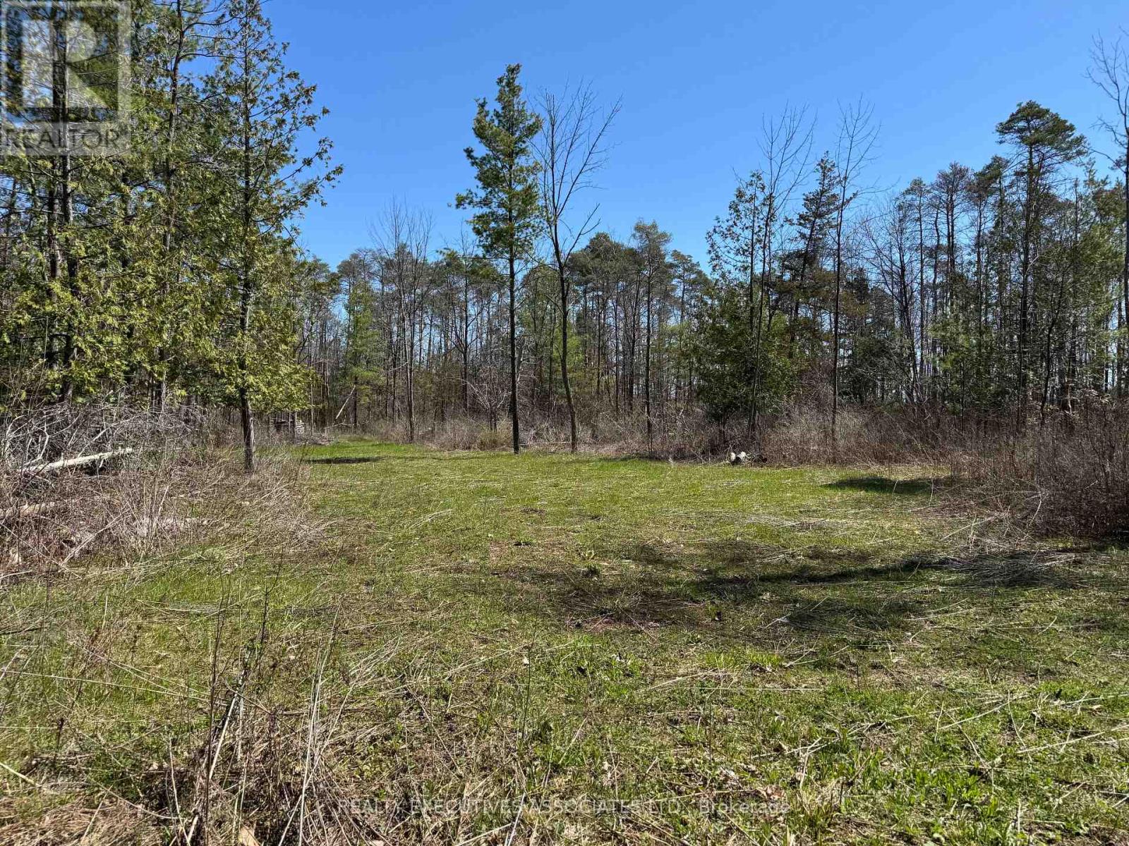 Cleared area - possible home site