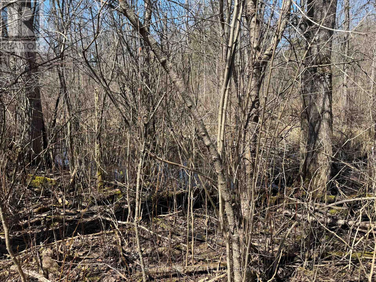 Pond