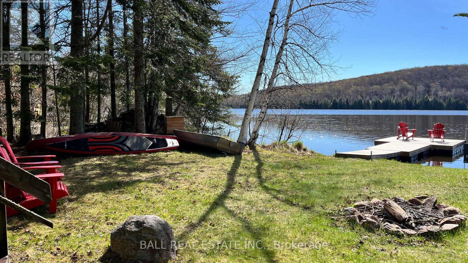 294 ALBION LAKE DRIVE — photo 10