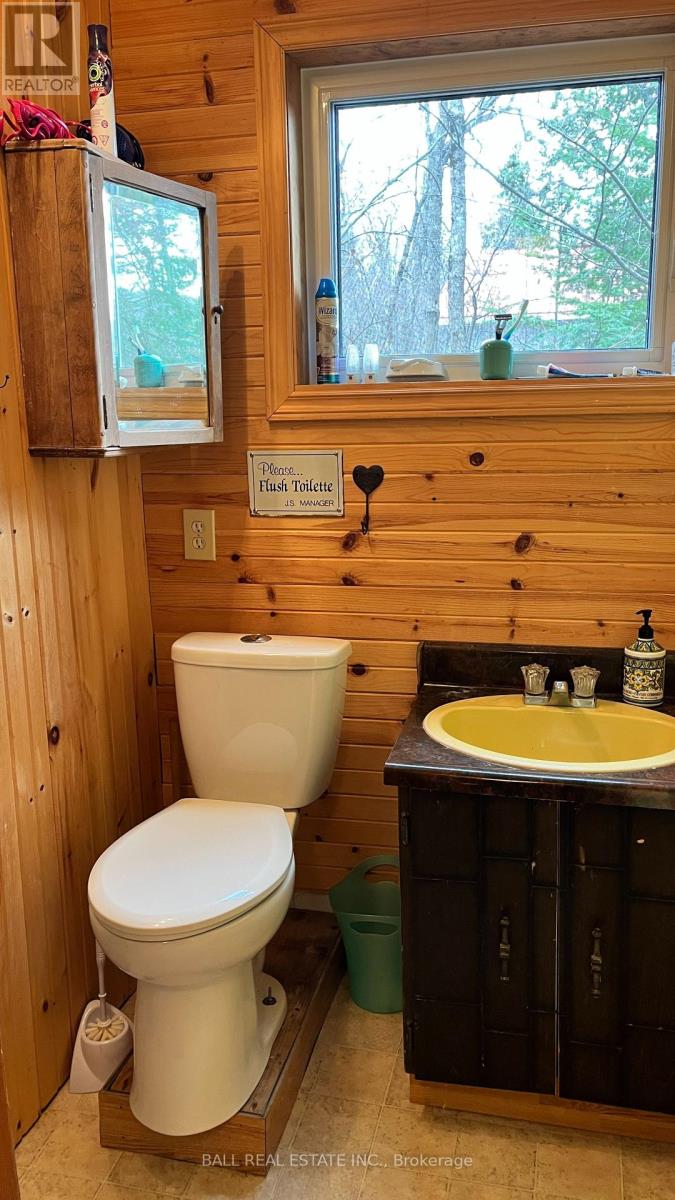 294 ALBION LAKE DRIVE — photo 19