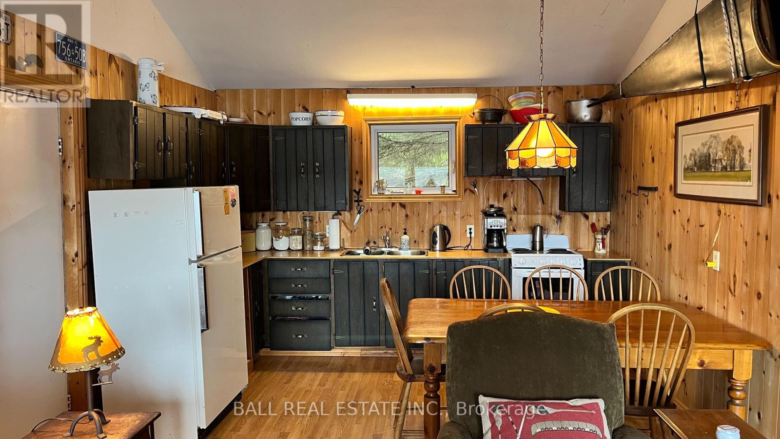 294 ALBION LAKE DRIVE — photo 20