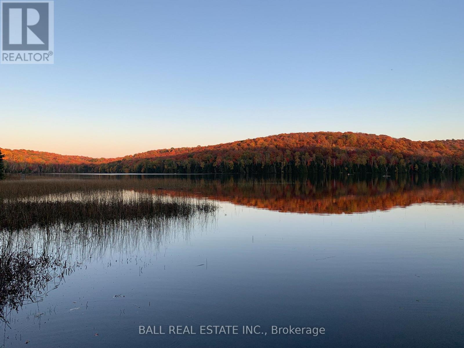 294 ALBION LAKE DRIVE - photo 3